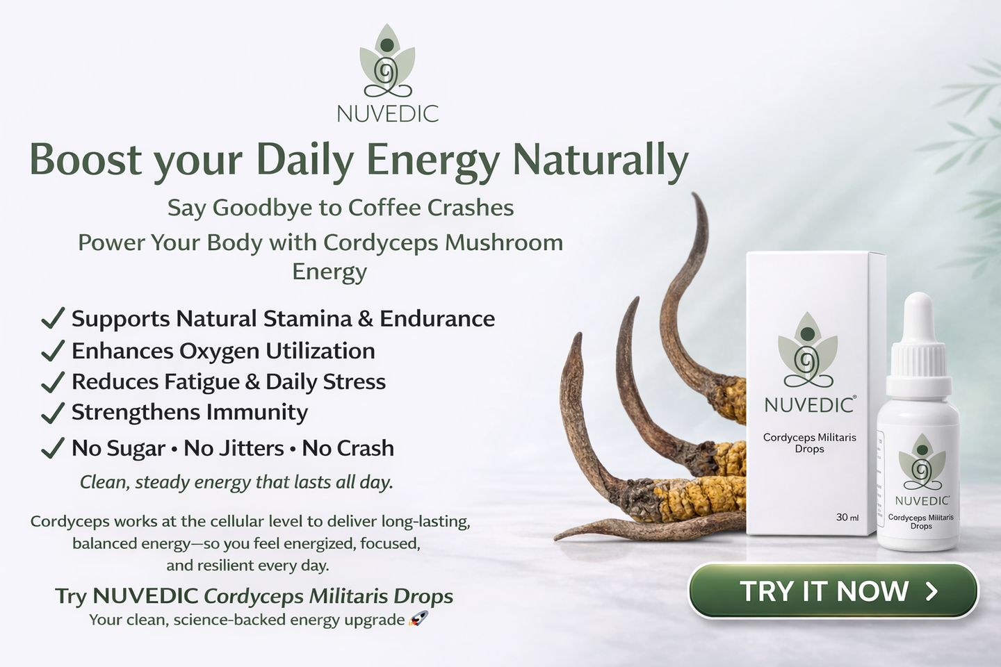 How Cordyceps Mushrooms Boost Your Daily Energy