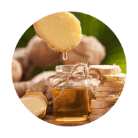 <strong>Ginger Oil (5%)</strong>