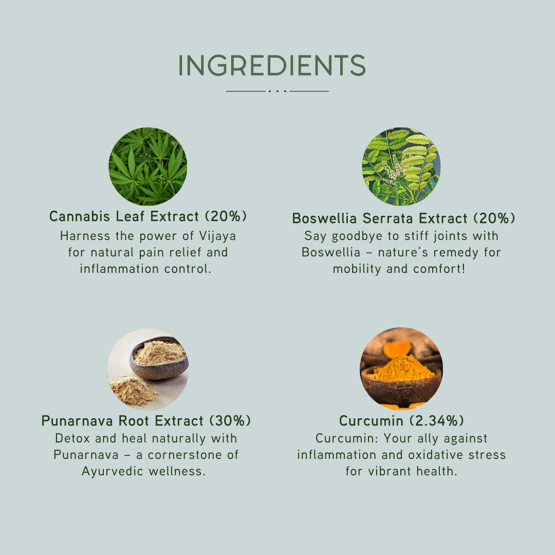 NUVEDIC Pain Master Capsule - Vijaya Joint Health